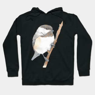 Black-capped Chickadee Poecile atricapillus watercolor portrait Hoodie